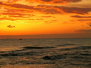 Del Mar Property Management