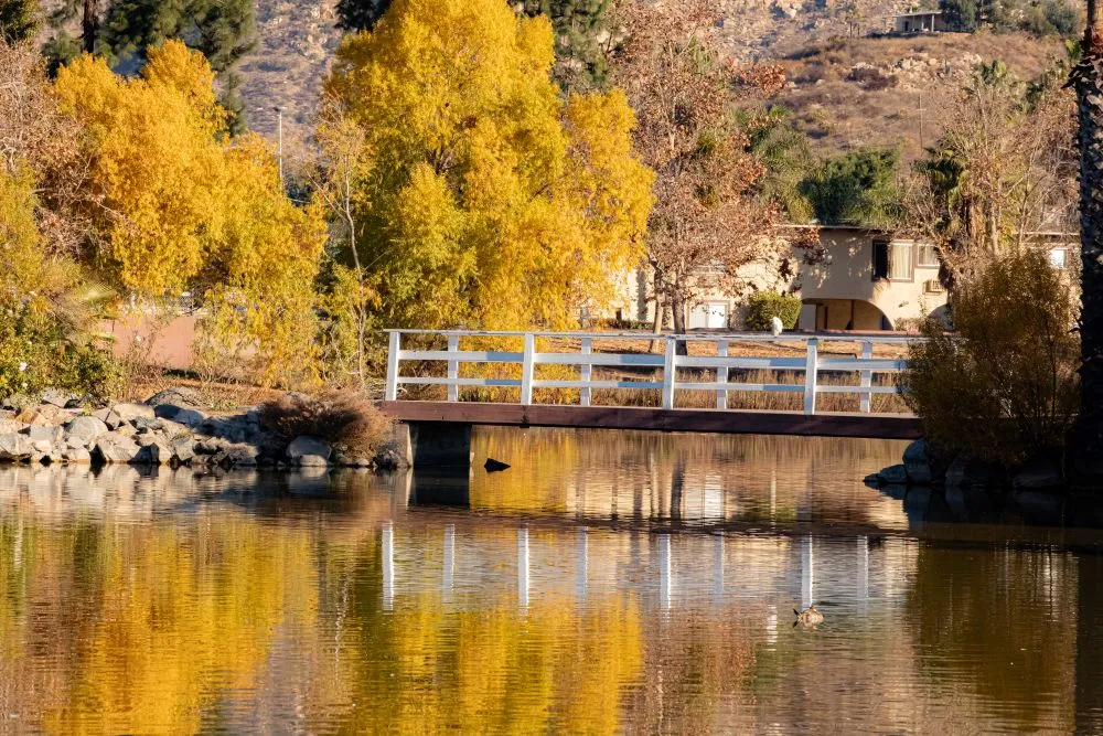 Lakeside Property Managers