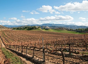 Murrieta Property Management