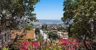 Spring Valley Property Management